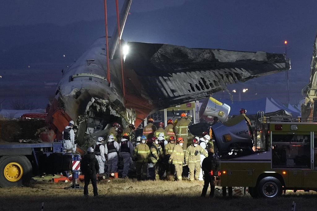 一架飞机在韩国降落时坠毁,造成179人死亡