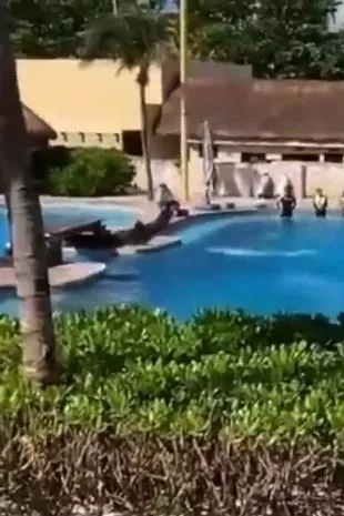可怕的时刻,海豚跳出泳池,在喘气的游客面前死亡