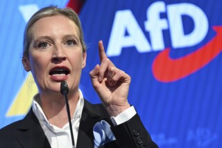 反移民的德国另类选择党在被间谍机构称为极端主义政党后提起诉讼